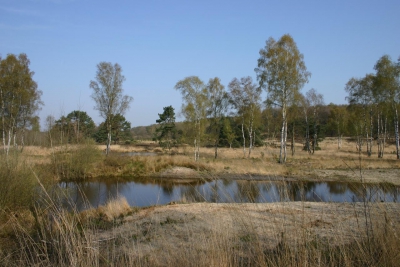 Golfarrangement - De Herkenbosche