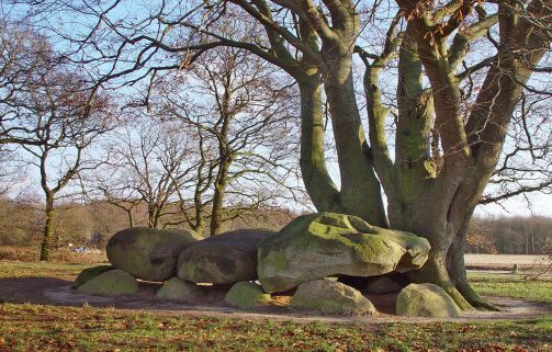 Hampshire Inn Bieze Borger