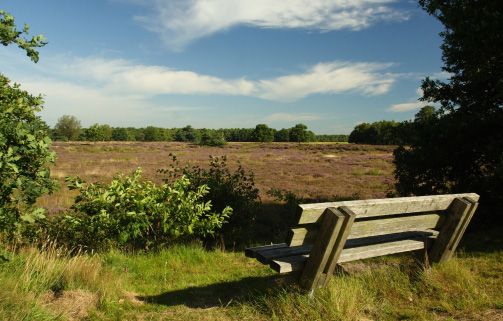 Hampshire Inn Bieze Borger