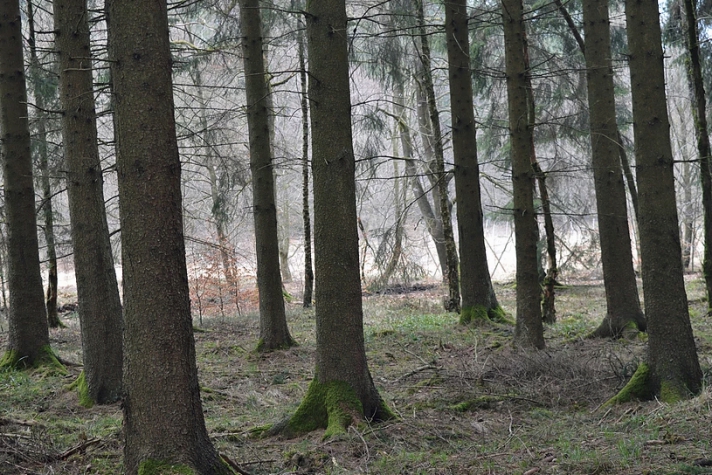 Hotel Le Saint-Hubert