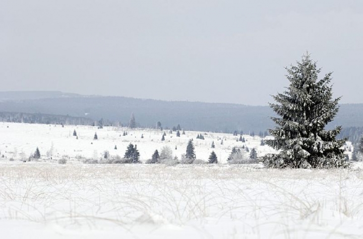 Relax Hotel Pip-Margraff