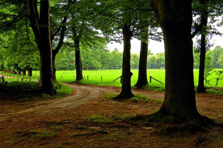 Fletcher Hotel-Restaurant Paasberg