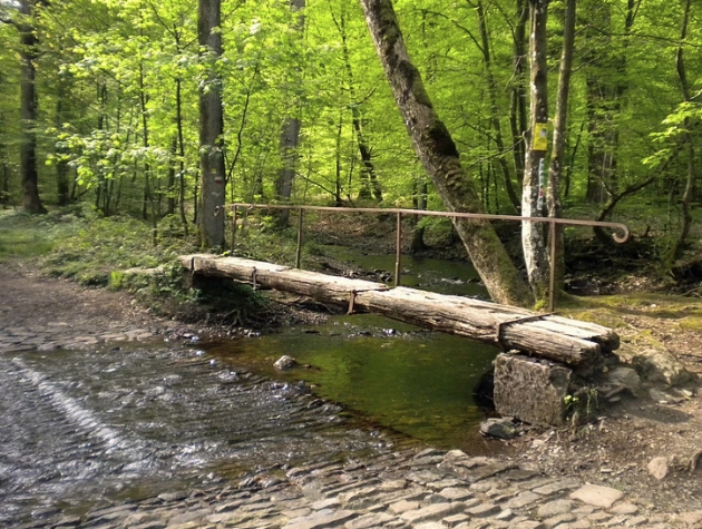 Hotel Le Saint-Hubert