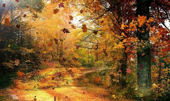 B&B Grenzeloos en Zo