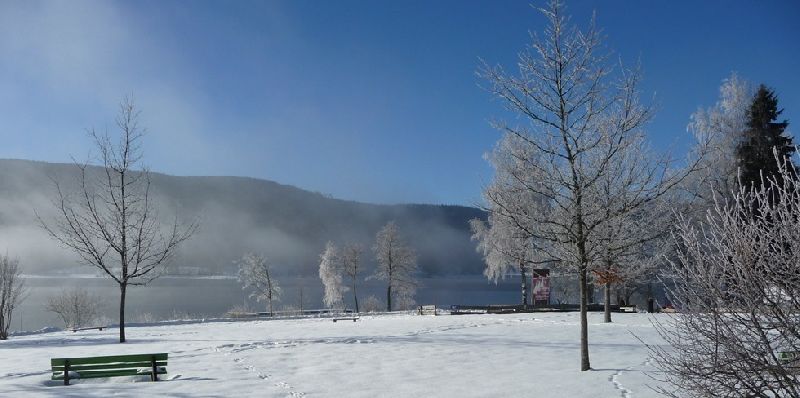 Wellnesshotel Auerhahn