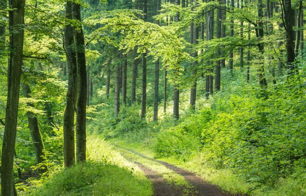 Landart Wellness Hotel Vulkaneifel