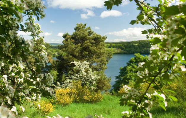 Landart Wellness Hotel Vulkaneifel