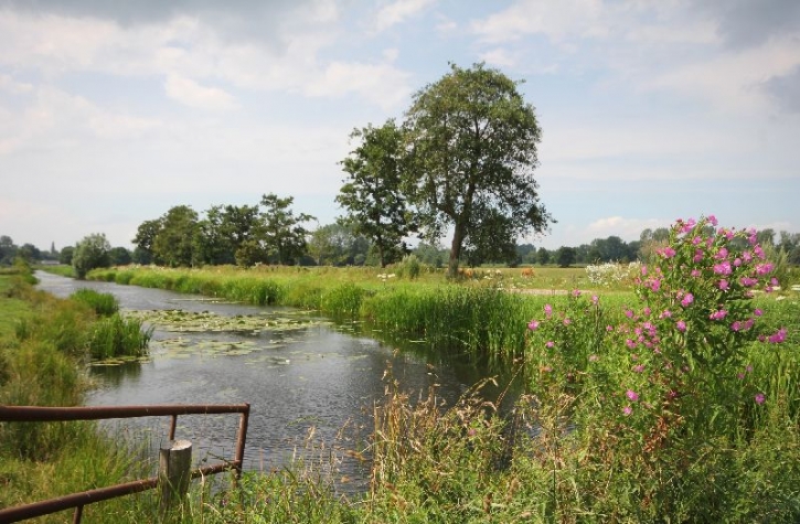 Brinkhotel Zuidlaren