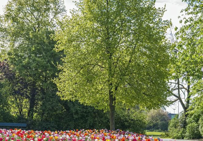 Hotel-Restaurant Weinebrugge