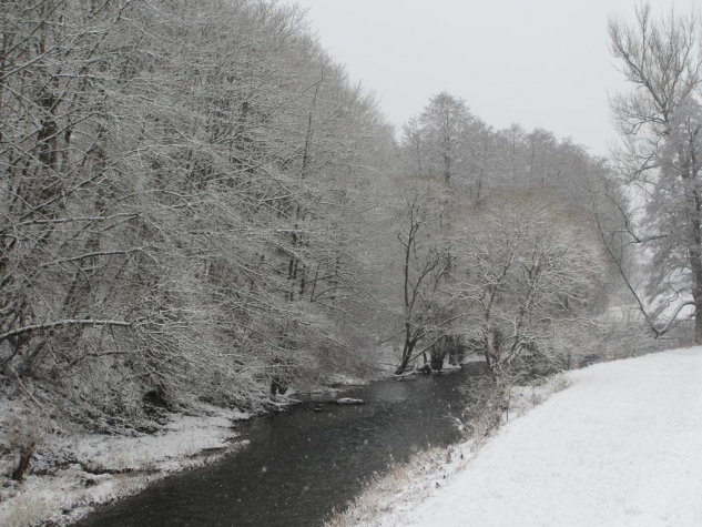 Hotel Zur Alten Mühle