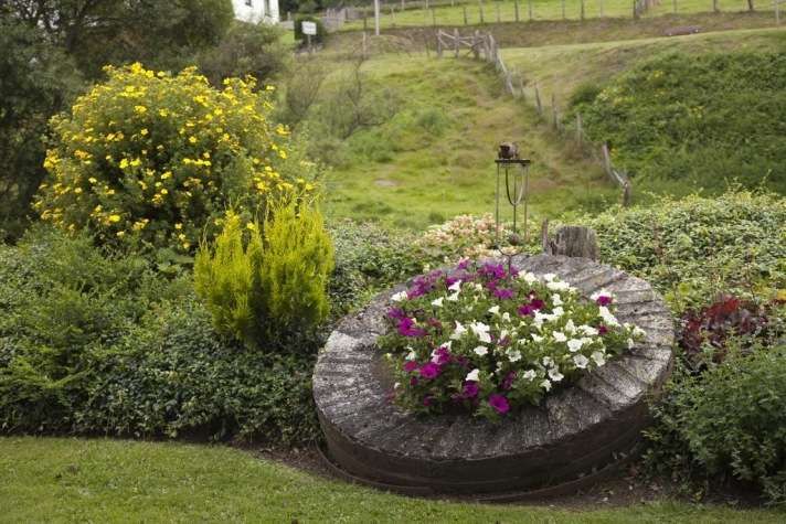 Hotel Zur Alten Mühle