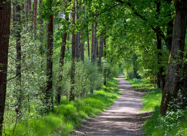 Romantik Hotel Kasteel Daelenbroeck