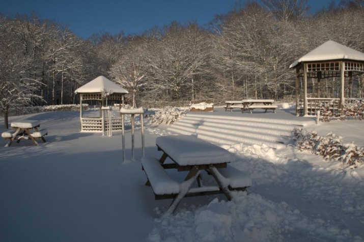 Corsendonk Sol Cress