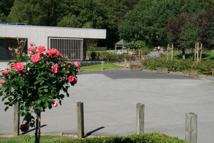 Corsendonk Sol Cress