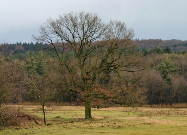 Romantik Hotel Kasteel Daelenbroeck