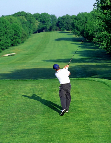 Logis Gourmet & Relax Hotel de la Sure