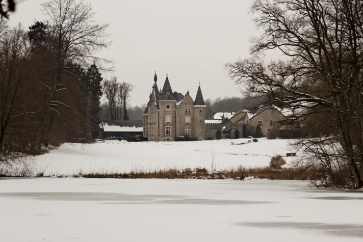 Château d'Hassonville