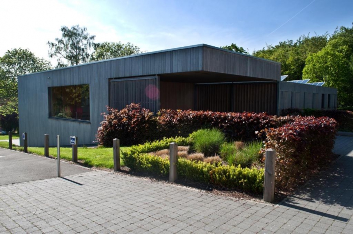 Corsendonk Sol Cress