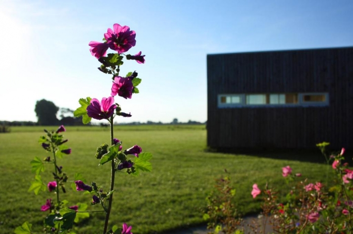 Frieslandhotel WeidumerHout