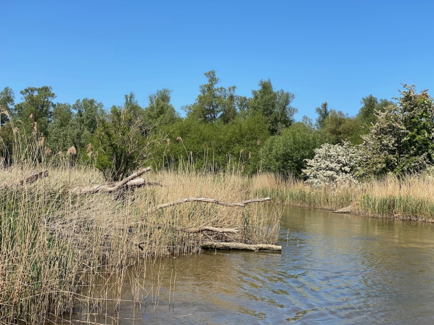 Fletcher Hotel-Restaurant Zevenbergen-Moerdijk