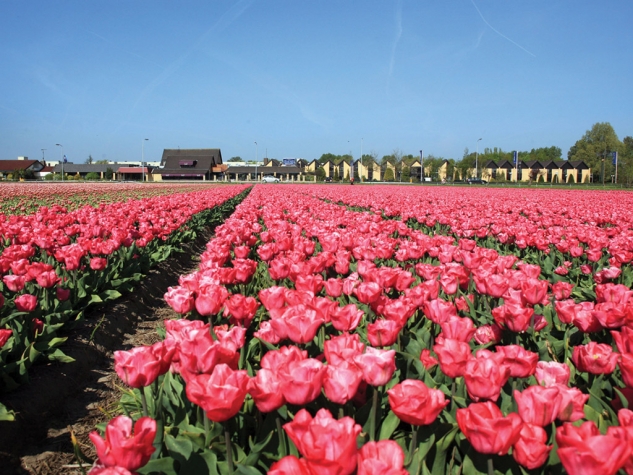 Fletcher Hotel-Restaurant Heiloo