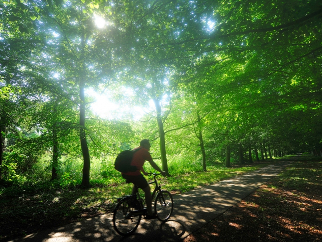 Fletcher Landgoedhotel Renesse