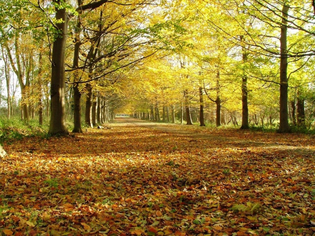 Fletcher Landgoedhotel Renesse