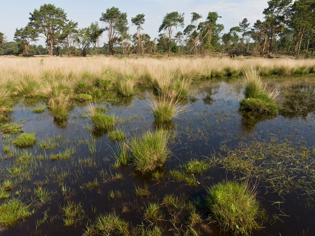 Fletcher Hotel-Restaurant Jagershorst-Eindhoven