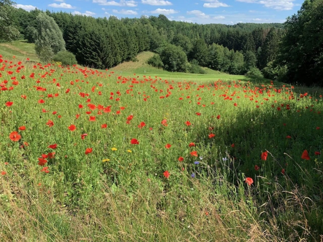 Hotel & Restaurant Golf de Clervaux