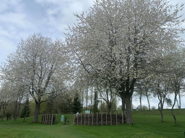 Hotel & Restaurant Golf de Clervaux