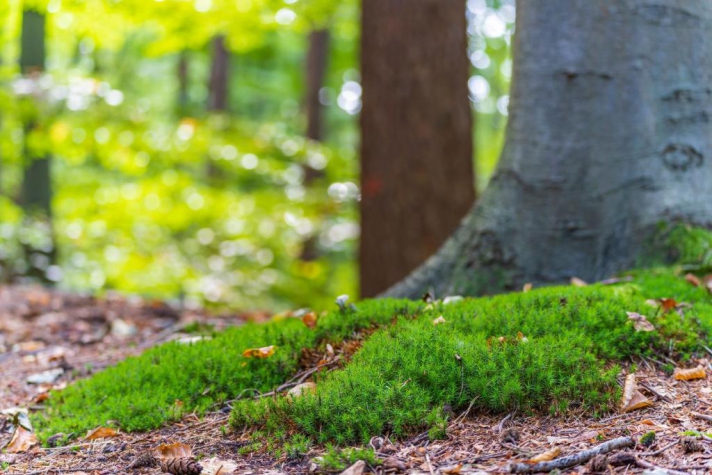 Hotel De Hoeve van Nunspeet