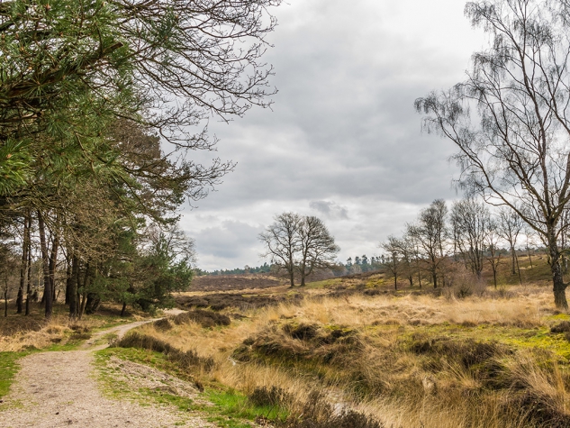 Fletcher Hotel-Restaurant Wolfheze