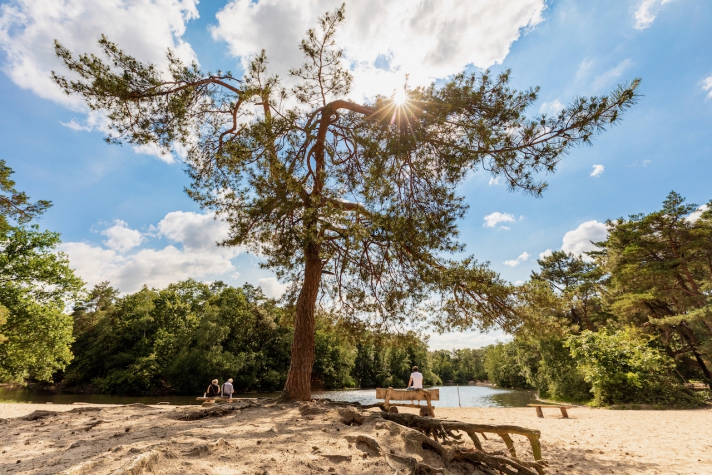 Golden Tulip Hotel Central