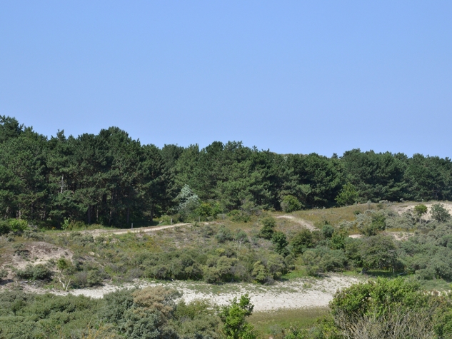 Fletcher Boutique Hotel Duinoord