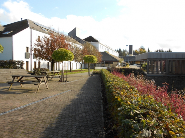 Corsendonk Sol Cress