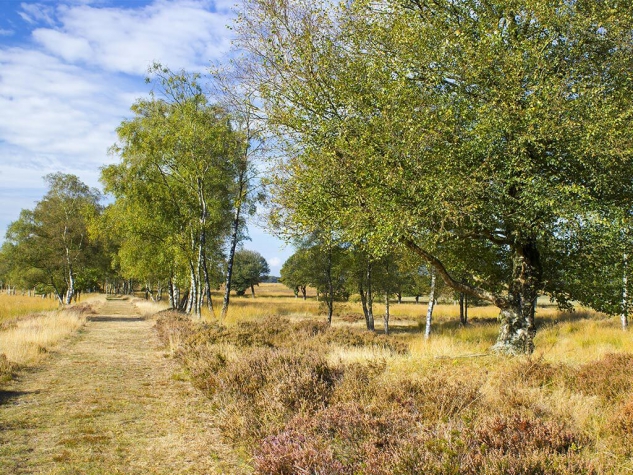 Fletcher Hotel-Restaurant Sparrenhorst-Veluwe