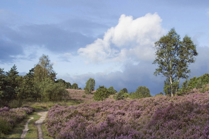 Hotel & Golf Stiemerheide