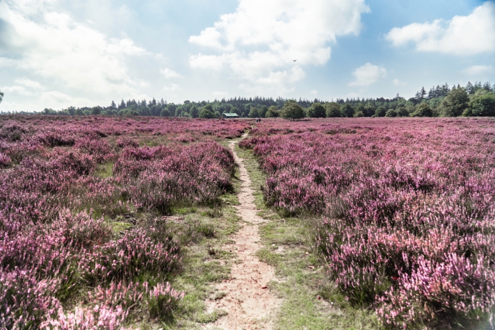 Veluwe Hotel de Beyaerd