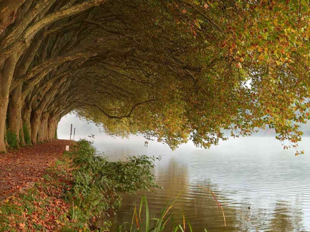 Fletcher Waldhotel Nordrhein-Westfalen